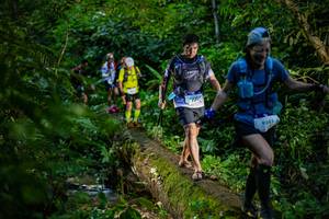 BIB: 
                            <button type="button" onclick="openModal(18922885)" class="btn btn-primary btn-sm float-right btn-popup" data-toggle="modal" data-target=".modal-high-quality">
                        <i class="fas fa-shopping-cart"></i> Add to Cart
                    </button>
                                            <button type="button" onclick="isThisMe(18922885, true)" class="btn btn-success btn-sm float-right btn-popup btn-isme hidden" data-toggle="tooltip" data-placement="bottom" title="นี่คือรูปของคุณใช่ไหม คลิกที่นี่เพื่อเอาเข้าอัลบั้ม">
                        <i class="fas fa-plus"></i> Add to album
                    </button>
                    <button type="button" onclick="isThisMe(18922885, false)" class="btn btn-warning btn-sm float-right btn-popup btn-isnotme hidden">
                        <i class="fas fa-ban"></i> Remove from album
                    </button>